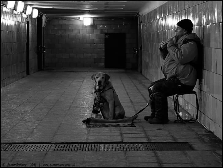 perro y su dueño estacion del metro