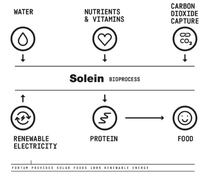 producción de solein por solar foods