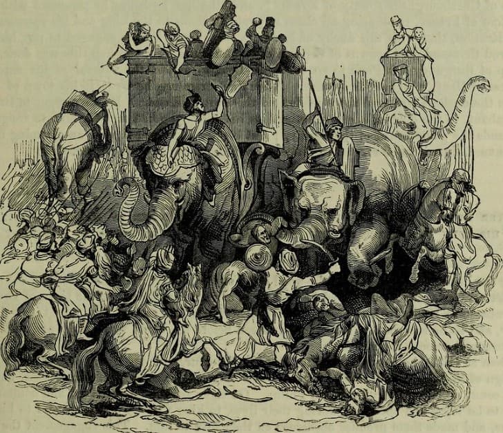 ilustracion grabado elefantes en la guerra