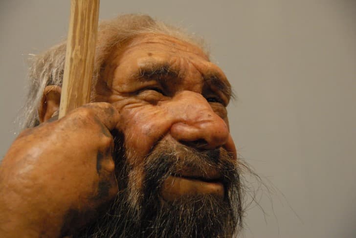 neandertal anciano