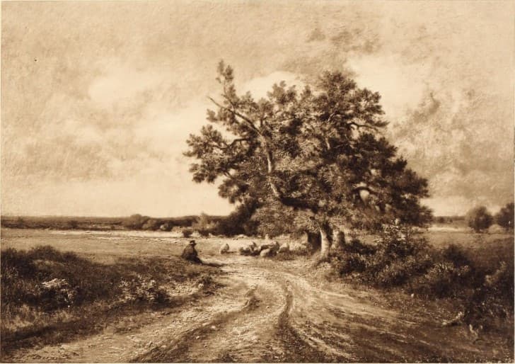 paisaje rural camino de tierra