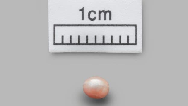 perla mas antigua del mundo
