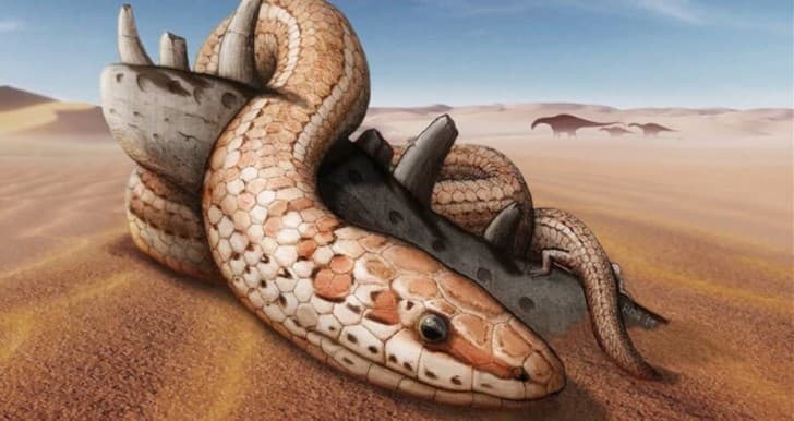 Najash snake ilustracion