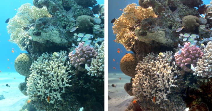 arrecifes de coral sin agua colores reales