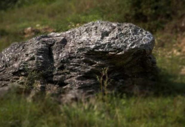 piedra con forma de sapo