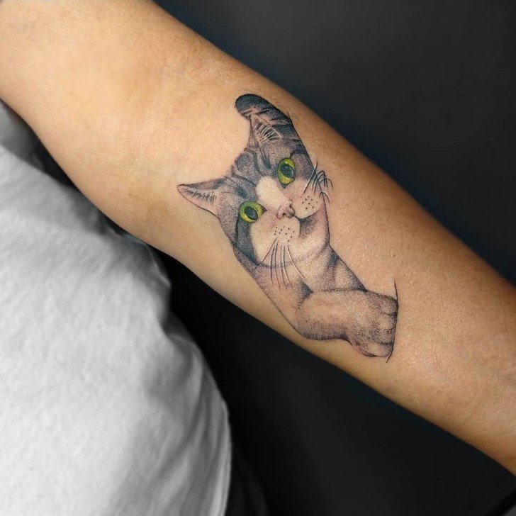 diseños tatuajes de gatos (36)