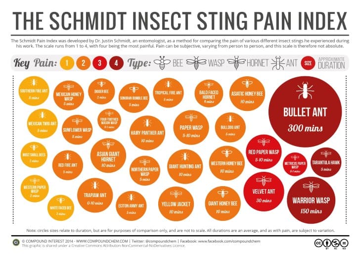 Índice Schmidt de dolor por picadura