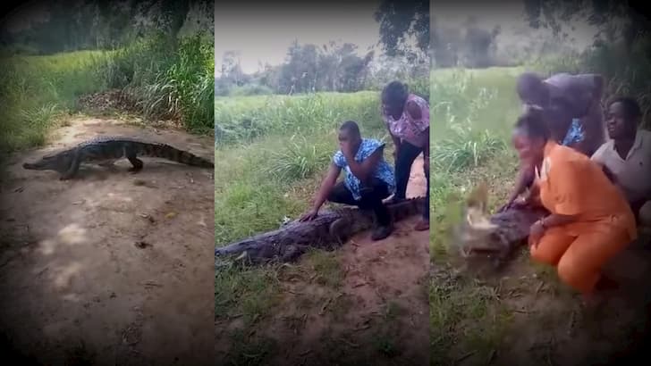 mujer atacada cocodrilo en Ghana(1)