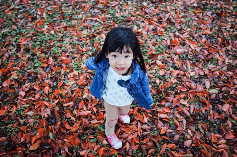 niña jugando en un montón de hojas(1)