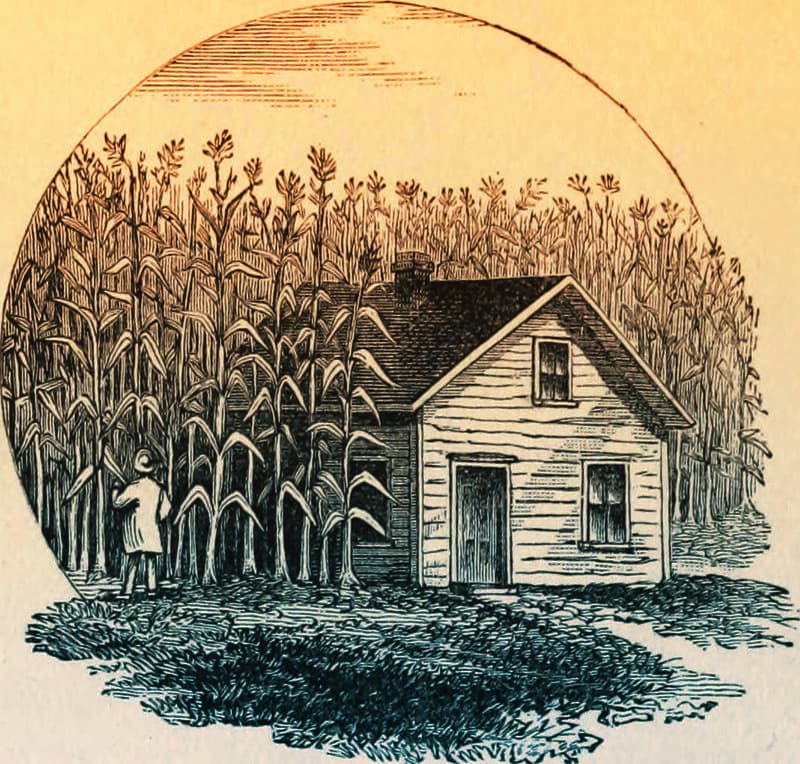 granja pequeña en 1800