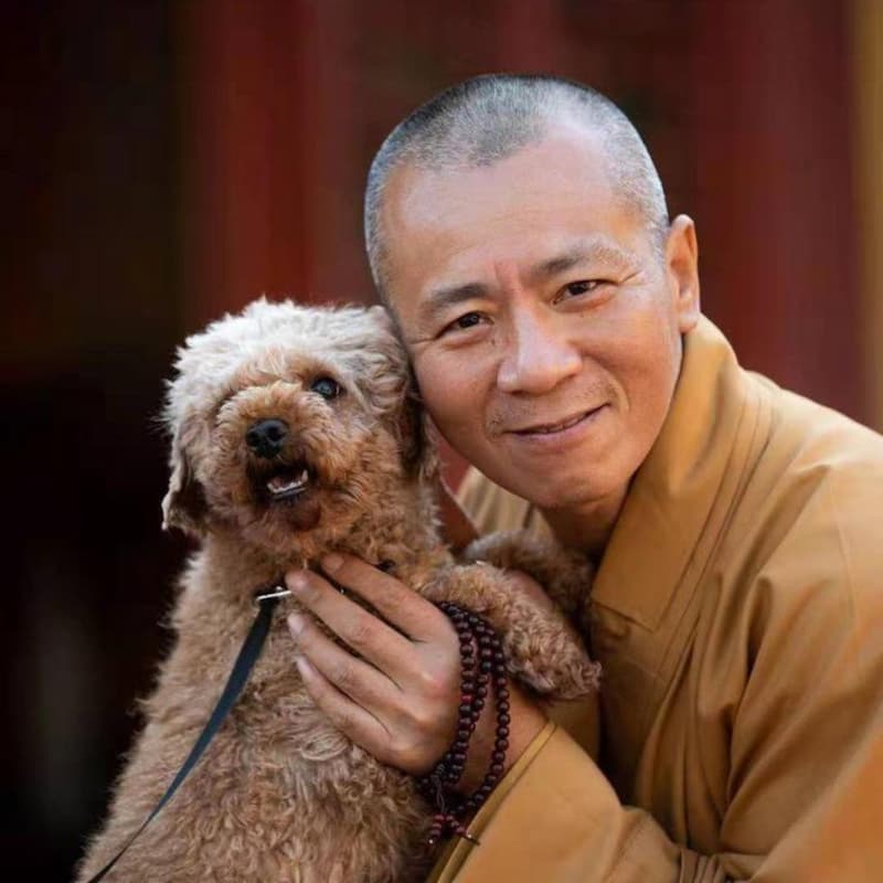 Monje budista rescata miles de animales(1)