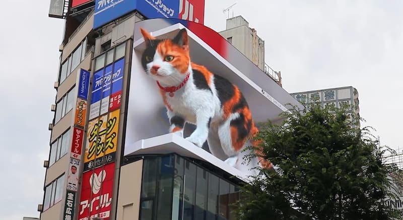 anuncio gato gigante 3D japon(1)