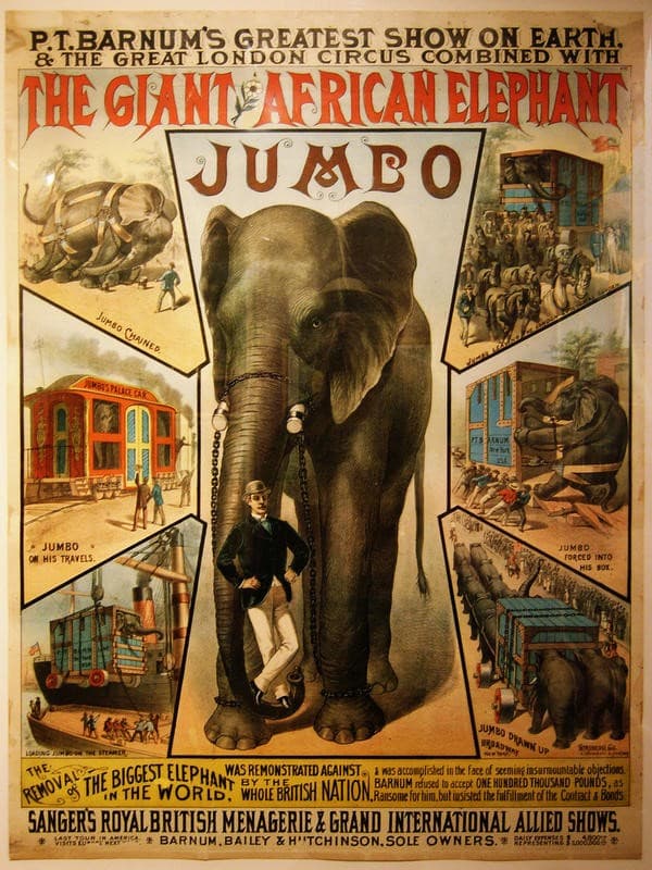 Elefante Jumbo Barnum