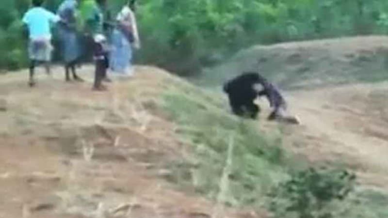 ataque letal oso en la india por selfie Prabhu Bhatara