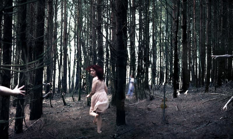 corriendo por el bosque(1)