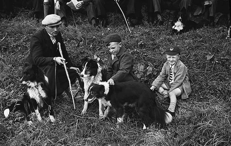 Gran Masacre de Mascotas del Reino Unido 1939