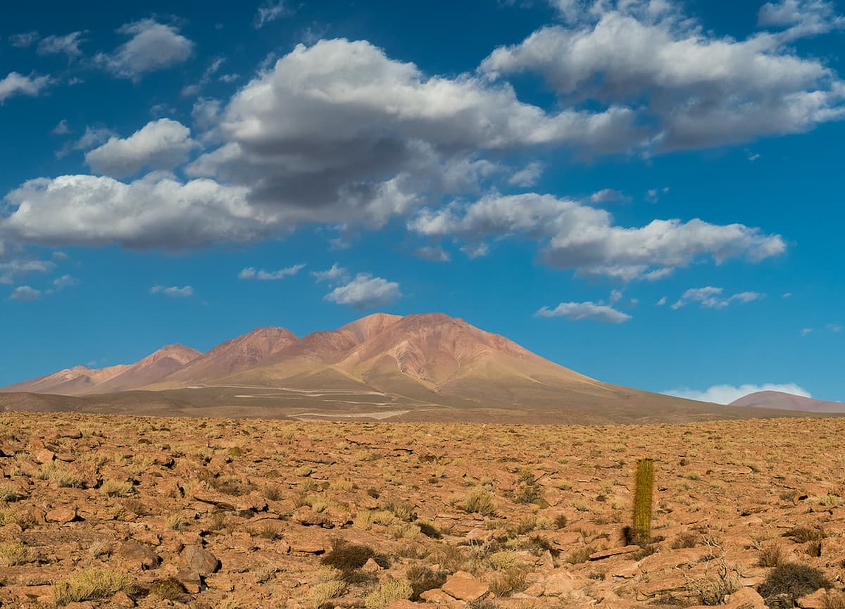 terremoto más devastador en la historia(1)
