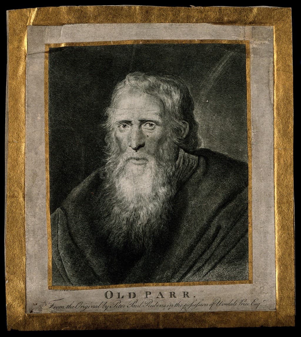 pintura de Thomas Parr por Rubens