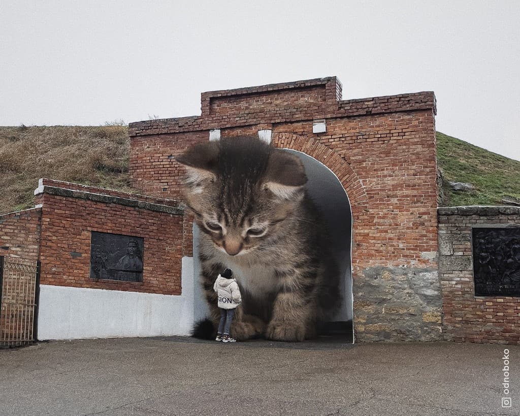 Gatos gigantes en escenarios urbanos (16)