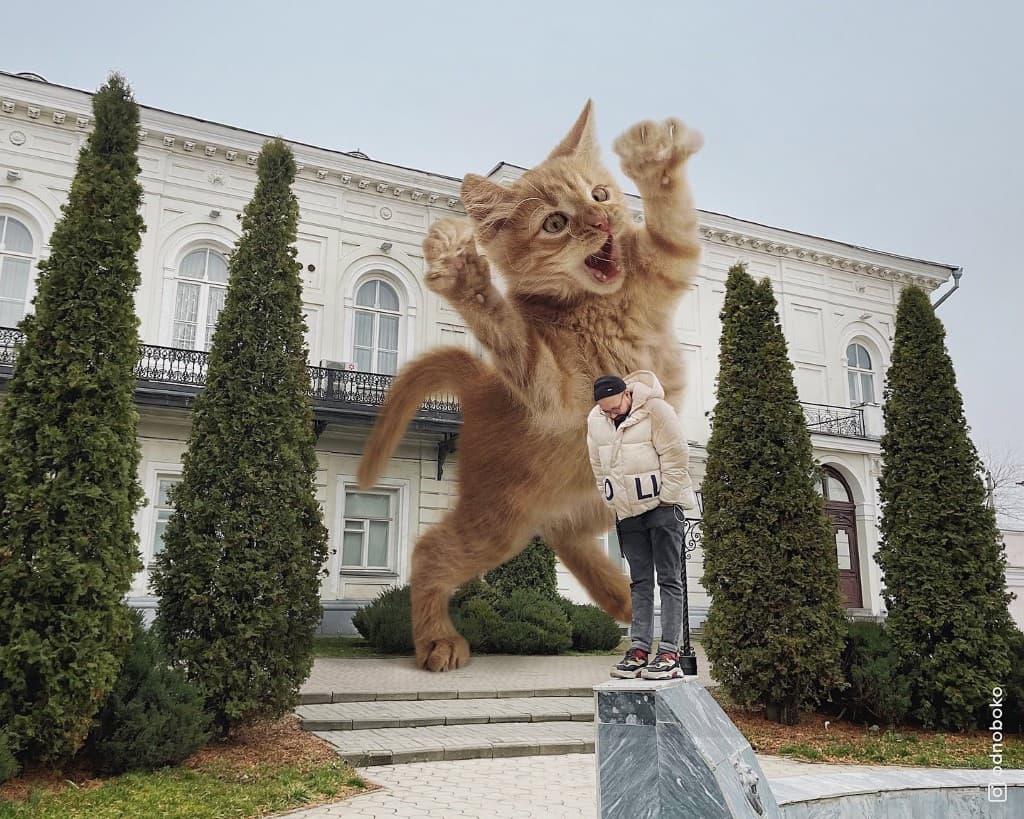 Gatos gigantes en escenarios urbanos (17)