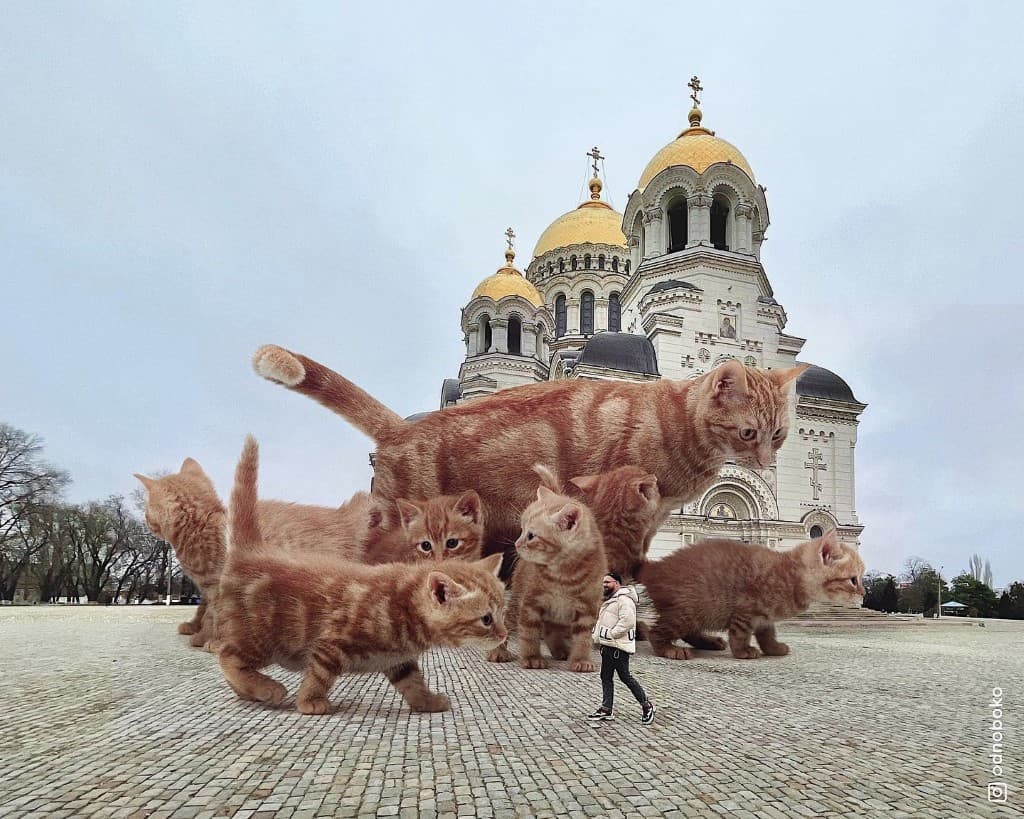 Gatos gigantes en escenarios urbanos (18)