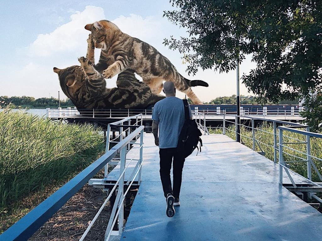 Gatos gigantes en escenarios urbanos (2)