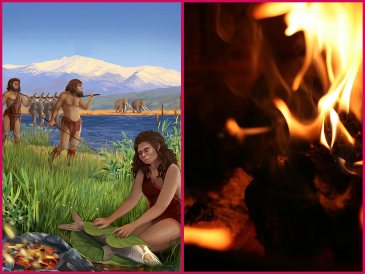 Humanos ya cocinaban alimentos hace 780 mil anos