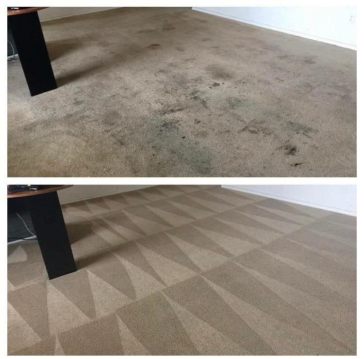 alfombra limpia antes y despues