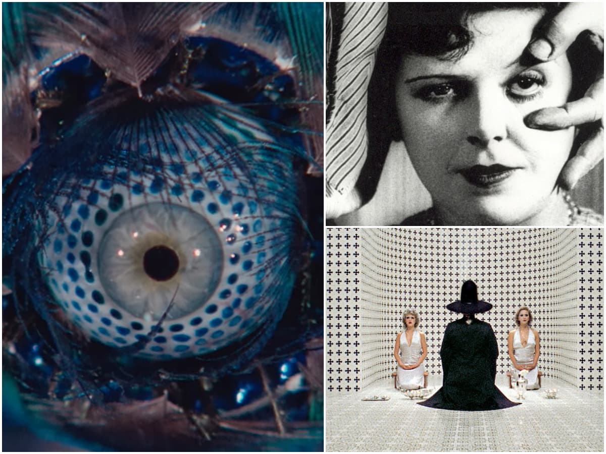 5 directores destacados del surrealismo cinematográfico